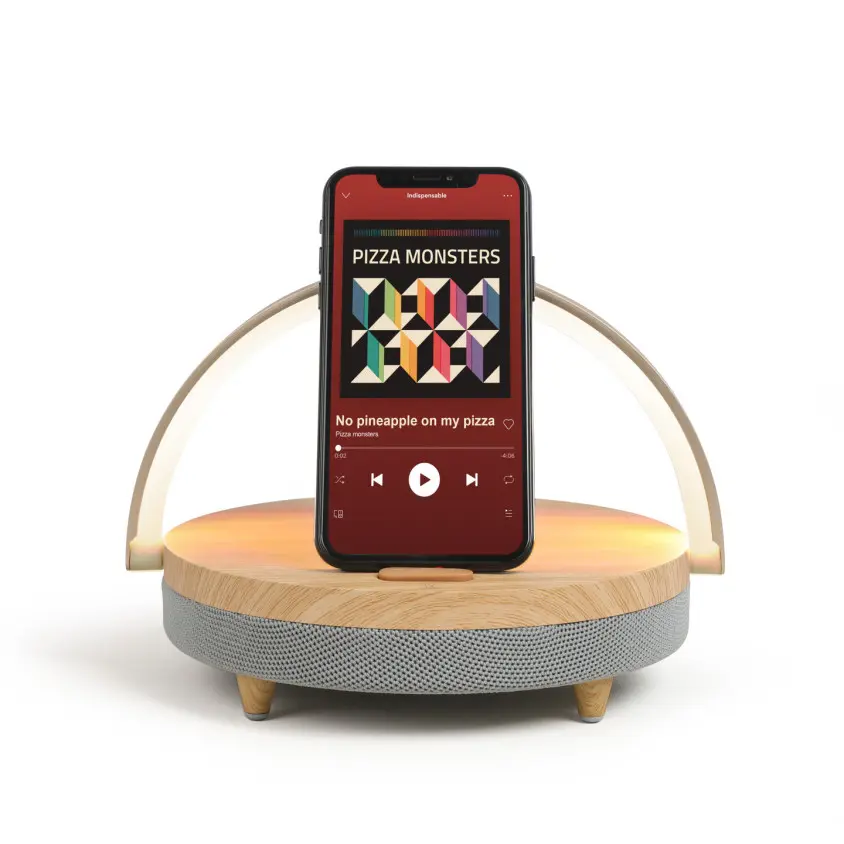 Enceinte LED chargeur induction