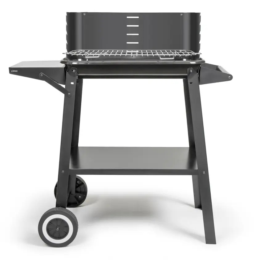 Barbecue à charbon