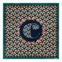 Foulard Albane 