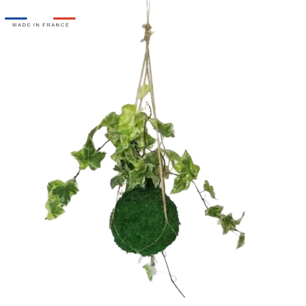 Kokedama Lierre