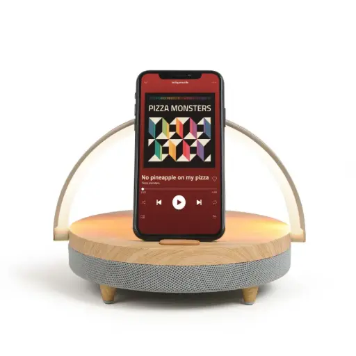 [TES242] Enceinte LED chargeur induction